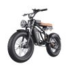 GT01 Fat Tires Off Road Electric Bike  1200W Powerful Motor outdoor E-bike