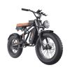 GT01 Fat Tires Off Road Electric Bike  1200W Powerful Motor outdoor E-bike