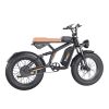 GT01 Fat Tires Off Road Electric Bike  1200W Powerful Motor outdoor E-bike