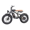 GT01 Fat Tires Off Road Electric Bike  1200W Powerful Motor outdoor E-bike